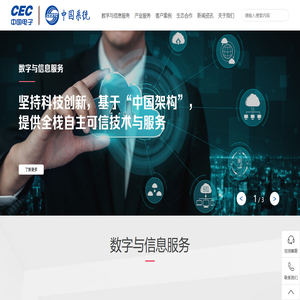 中国系统_数字与信息服务提供商